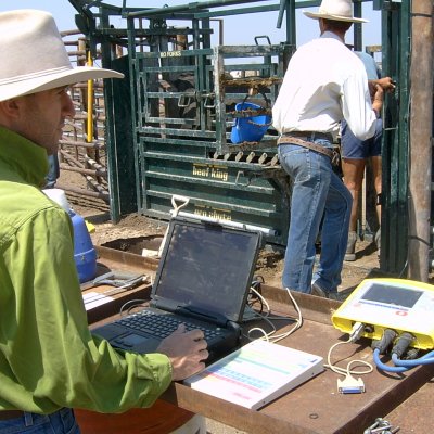 The CashCow project demonstrated the potential of electronic monitoring of herd performance